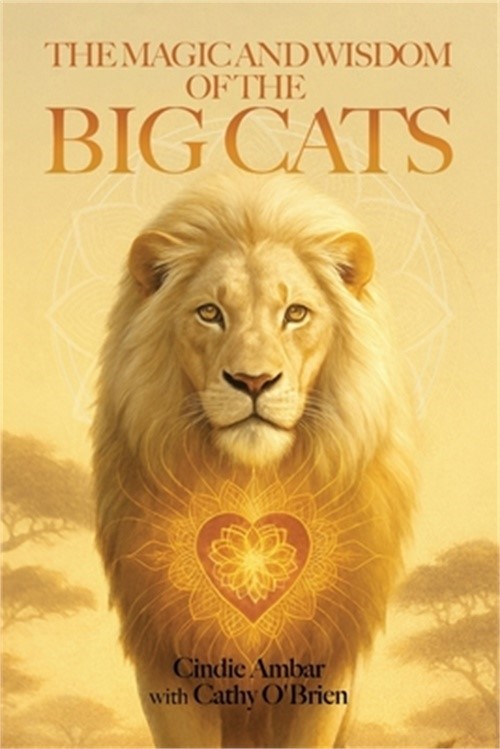 The Magic and Wisdom of the Big Cats (Paperback or Softback)