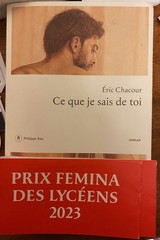 Ce que je sais de toi by Eric Chacour, original in French