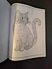 Cat Coloring -32 Spring-Inspired Designs-Relaxing & Inspirational Adult Coloring