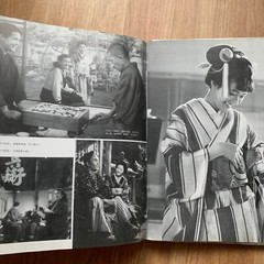 All about Hideko Takamine Japanese Movie Actress Photo Book 237 Pages 1990