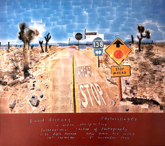 DAVID HOCKNEY POSTERS 40 Large Plates HCDJ Art Book 1987 First Edition 1st Print