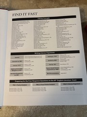 Ideas in Literature: Building Skills and Understanding for the AP English Liter