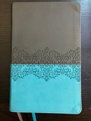 NIV Life Application Study Bible 3rd Edition Zondervan Gray Teal