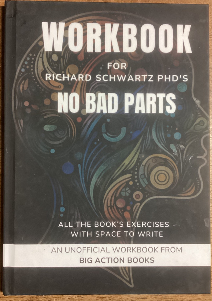 WORKBOOK for Richard Schwartz PHD’s NO BAD PARTS Very Good