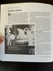 House Rabbit Handbook-How to live with an Urban Rabbit by Marinell Harriman
