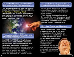 BIBLE, Gospel Tracts(KJV), 40 PACK in 4 Covers,12 Pages Each