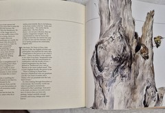 Ray Harris‑Ching • Masters of the Wild (1990 HC) • Wildlife Art