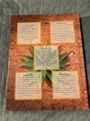 Our Little House on the Prairie Ser.: Rain Follows the Plow — Not!: Our Little