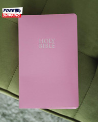 NIV Gift and Award Bible Leather-Look Pink Red Letter Comfort Print