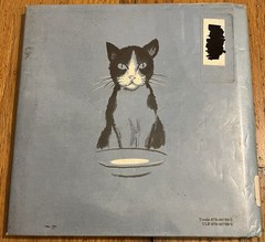 JOEY’S CAT : by Robert Burch : illus Don Freeman : vintage