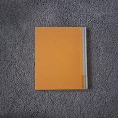Yellow & Pink by William Steig (1984) Hardcover – Good Condition, No Dust Jacket