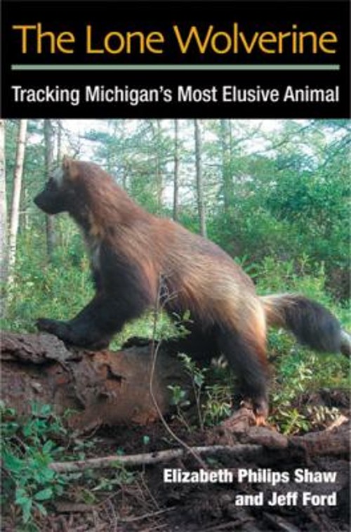 The Lone Wolverine : Tracking Michigan’s Most Elusive Animal Pape
