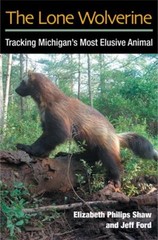 The Lone Wolverine : Tracking Michigan’s Most Elusive Animal Pape