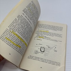 Tamil Nadu India Guide to Temples Beliefs People In the Kingdom of Nataraja 1993