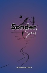 Sonder Soul by Sara Sheehan Paperback Book