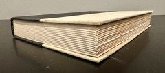 The 48 Laws of Power by Robert Greene (1998, Hardcover) * 1st Ed/1st Print*