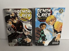 Demon Slayer Volumes 2-3 English Graphic Novels Koyoharu Gotouge Set of 2