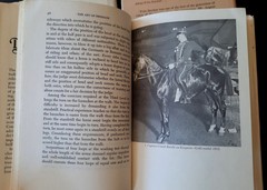 LOT of 3 Vintage Equestrian Hardcover Books Art Dressage Horse Rider Equitation