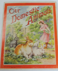 1930s Our Domestic Animals by Saalfield Pub. Children/Rabbit/Goat/Chicken/Cat