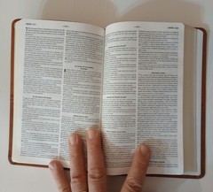 Santa Biblia Clasica Edicion Especial Ocre RVR 1977 Grupo Nelson 9781602552593