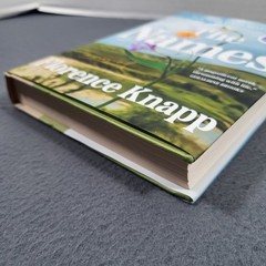 The Names Florence Knapp Hardcover Novel 2025 Feminist Literary Fiction VG