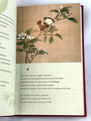 TAO TE CHING by Lao Tzu Deluxe Silkbound Collectible Illustrated Hardcover NEW