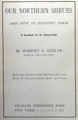 Antique Forestry Tree Identification Botany Nature Study 4 Book Lot 1919-1925