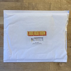 LIBERATION By BESS WOHL Tony Voter Gift PLAY SCRIPT in Logo Envelope! ADVANCED!