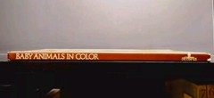 Baby Animals in Color Vintage 1980 Octopus Books Hardcover Children’s