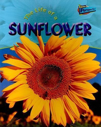 Life Of A Sunflower (Life Cycles) by Clare Hibbert