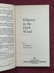 Kilmeny In The Dark Wood By Florence Stevenson
