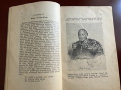 RARE 1912 Polish Book: Wojna Polski z Rosyą 1830-1831 Lwów Lviv