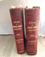 2 Antique 1916 History of Genesee County Michigan book Illustrations HC – Wood