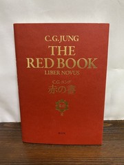 NEW C.G. Jung The Red Book Liber Novus Plates Illustrations Rare Psychology