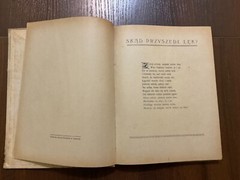Lviv 1921 DRUGA KSIEGA DZUNGLI RUDYARD KIPLING Polish book VERY RARE