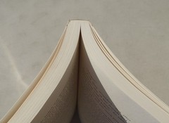 Live Through This: Surviving the Intersections of Sexuality, God, and Race