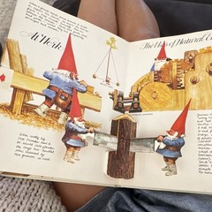 Harry N. Abrams The Pop-Up Book of Gnomes Pop-Up Illustrated Hardcover 1979