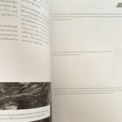 The Daily Grace Co. James: The Steadfast Life Schmucker PB 2017 Study Guide