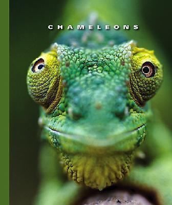 Chameleons (The World of Reptiles, 1256) by Sophie Lockwood