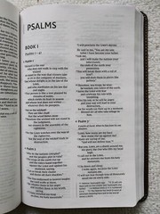 NIV Thinline Bible Elegant 9.4-point Print Size Words of Christ in Red Leatherso