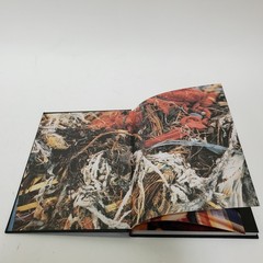 David Byrne Strange Ritual 1995 Hardcover 1st Edition Art Photo Talking Heads