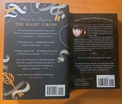 Lot Of 2 Erin Morgenstern 1 PB 1 HC: Night Circus & Starless Sea