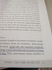Love Divine and Unfailing: The Gospel Acc to Hosea,P&R, PB, Barrett,Good