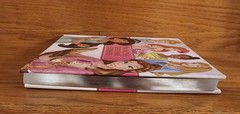 Disney Princess Bedtime Stories Hardcover 300 Pages 19 Stories 9×9.5×1″