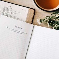 The Daily Grace Co Book by Book Bible Study