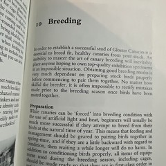 The Gloster Fancy Canary – Guide To Keeping, Breeding N.J. Barrett + C.Blackwell