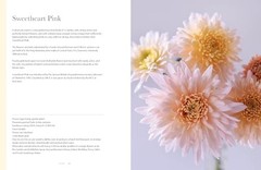 Chrysanthemums: Beautiful Varieties for Home and Garden (Flowers), Slade, Naomi,