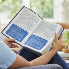 Peace of God Bible: Discover and Experience God’s Shalom Throughout the Bible