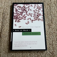 Ants at Work: How an Insect Society Is Organized, By Deborah Gordon, Pb