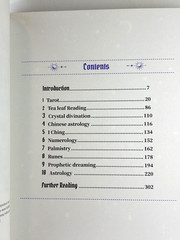 THE BOOK OF DIVINATION Predicting Future Michael Johnstone Deluxe Gilded Edges